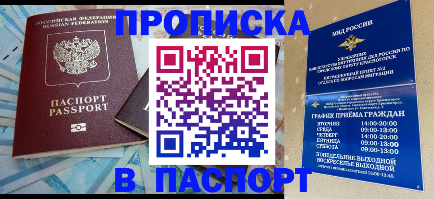 найти адрес прописки в Михайловске